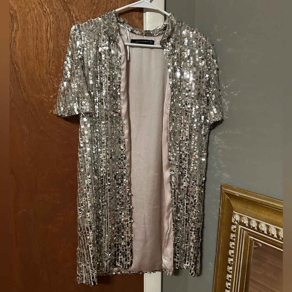 Zara silver sequin top